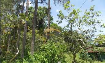 Imagem 4: Sítio à venda, com 173.000M² em Juquiá/SP