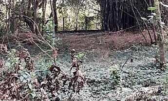 Imagem 3: Terreno 1000 metros em Condomínio Fechado na Região de Cotia