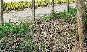 Imagem 5: Terreno 1000 metros em Condomínio Fechado na Região de Cotia