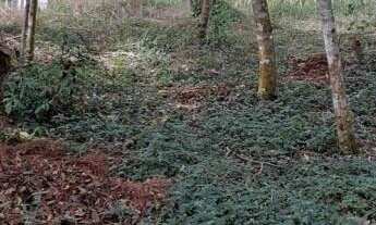 Imagem 6: Terreno 1000 metros em Condomínio Fechado na Região de Cotia