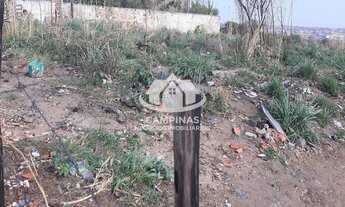 Imagem 2: AREA INDUSTRIAL em CAMPINAS - SP, JARDIM ITATINGA