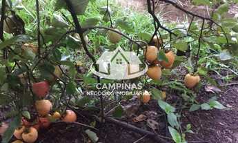 Imagem 4: CHACARA RESIDENCIAL em Monte-Mor - SP, Meu Cantinho