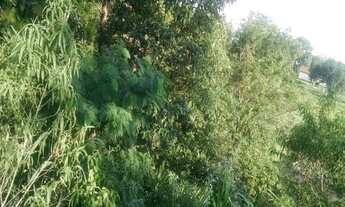 Imagem: Terreno à venda no bairro São Joaquim