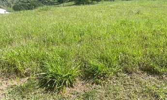 Imagem 4: 800M² de Área Total na Rua Viareggio