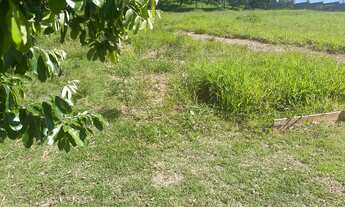 Imagem: 800M² de Área Total na Rua Viareggio