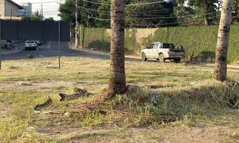Imagem 7: Terrenos à venda no Loteamento Alta Vista em Vinhedo/SP
