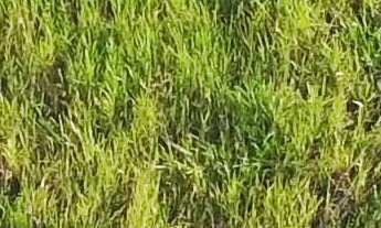 Imagem: Lindo terreno à venda no Condomínio Reserva