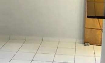 Imagem 5: Apartamento à venda em João Pessoa-PB, no bairro Gramame: 2 quartos, 1 suíte, sala, banhei