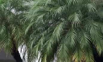 Imagem: Casa Extraordinária no Residencial 2