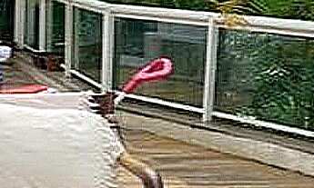 Imagem: VENDA RESORT MAISON