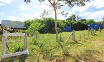 Imagem: Na Rodovia Coronel Acrísio Martins Prates