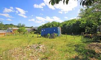 Imagem 2: Na Rodovia Coronel Acrísio Martins Prates