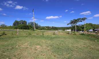 Imagem 6: Na Rodovia Coronel Acrísio Martins Prates