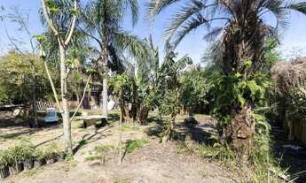 Imagem 6: Na Estrada Chapéu Do Sol