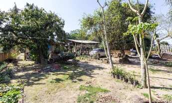 Imagem 7: Na Estrada Chapéu Do Sol