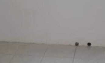 Imagem 4: APARTAMENTO RESIDENCIAL em Porto Alegre - RS, Restinga