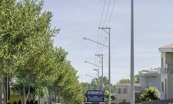 Imagem 2: Na Rodovia Rs 118