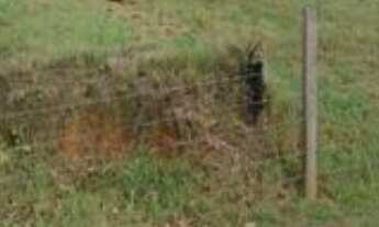 Imagem 3: Na Rua Liberdade