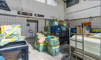 Imagem 3: Galpão Comercial em Condomínio na Vila Ipojuca - São Paulo-SP: 3 salas, 2 banheiros, 2 vag