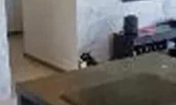 Imagem 5: Oportunidade Imperdível: Apartamento à venda no Butantã, São Paulo-SP com 2 quartos, 1 suí