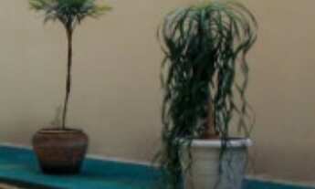 Imagem 2: Apartamento à venda em Pinheiros, São Paulo-SP: 3 quartos, 2 banheiros, 82m² de área. Apro