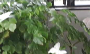 Imagem 5: Imperdível Apartamento à Venda em São Paulo-SP, na Vila Andrade: 3 Quartos, 1 Suíte, 4 Ban