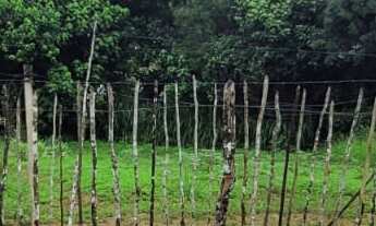 Imagem 4: Terreno com 585m² a 3Km do Centro de Embu Guaçu pronto para construir seu sitio ou casa
