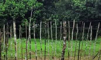 Imagem 7: Terreno com 585m² a 3Km do Centro de Embu Guaçu pronto para construir seu sitio ou casa