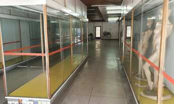 Imagem 3: Alugar salão comercial em Tucuruvi São Paulo SP, salão comercial para alugar em Tucuruvi S