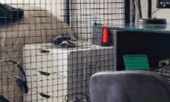 Imagem 4: Apartamento à venda em São Paulo-SP, Aclimação: 1 quarto, 1 suíte, 2 banheiros, 2 vagas, 7