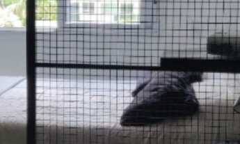 Imagem 7: Apartamento à venda em São Paulo-SP, Aclimação: 1 quarto, 1 suíte, 2 banheiros, 2 vagas, 7