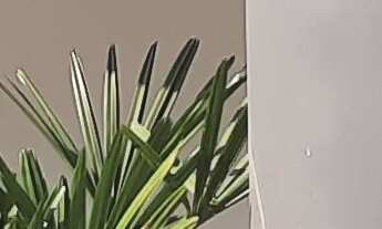 Imagem 7: APARTAMENTO RESIDENCIAL em SÃO PAULO - SP, VILA OLÍMPIA