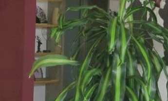 Imagem 4: APARTAMENTO RESIDENCIAL em SÃO PAULO - SP, JARDIM PAULISTA