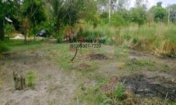 Imagem 4: D A Imóveis vende Terreno em Marapanim