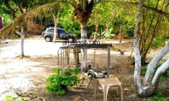 Imagem 7: D A Imóveis vende Terreno em Marapanim