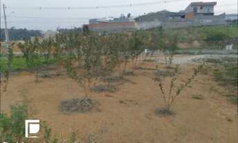 Imagem 3: TERRENO COM 250m² E USO MISTO A VENDA NO JARDIM ITÁLIA - ITUPEVA - R$ 250.000,00