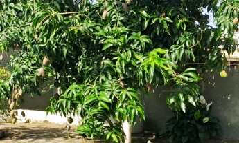 Imagem 6: CASA LINDA A VENDA COM 4 QUARTOS 2 SUÍTES NA PRAIA EM GUARAPARI ES