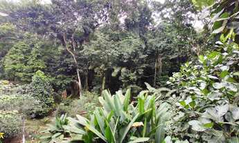 Imagem 6: 4 dormitórios, 4 suíte, 1 banheiros, 4 vagas na garagem, 300M² de Área Construída