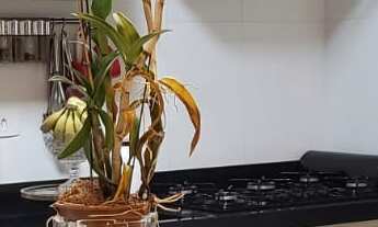 Imagem: APARTAMENTO RESIDENCIAL em JAGUARIÚNA