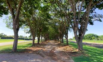 Imagem 6: TERRENO RESIDENCIAL em Jaguariúna - SP, Condomínio Reserva Santa Izabel