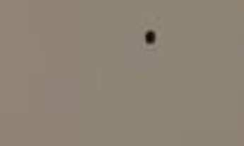 Imagem 3: Apartamento no Bairro Santa Mônica, Móveis Planejados, 2 quartos, 1 suíte, 2 vagas, Gás Ca