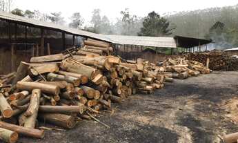 Imagem 3: Refúgio Sereno: Propriedade com Carvoaria e Potencial de Renda em Pilar do Sul