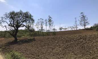 Imagem 4: Refúgio Sereno: Propriedade com Carvoaria e Potencial de Renda em Pilar do Sul