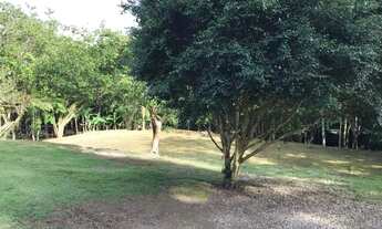 Imagem 6: Refúgio Sereno: Propriedade com Carvoaria e Potencial de Renda em Pilar do Sul