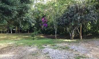 Imagem 7: Refúgio Sereno: Propriedade com Carvoaria e Potencial de Renda em Pilar do Sul