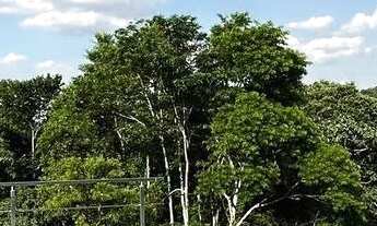 Imagem 7: Em busca da casa dos sonhos? Esta é a oportunidade que você estava esperando!