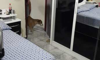 Imagem 6: Casa Espaçosa a Venda no Parque das Paineiras