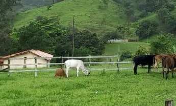 Imagem: ÁREA em APARECIDINHA