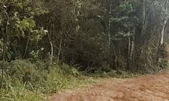 Imagem: Projeto pioneiro de compensação ambiental