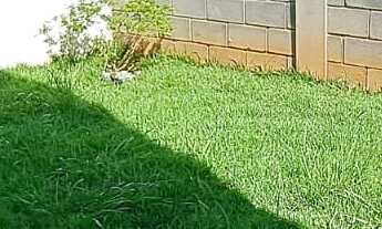 Imagem 3: Viva o seu melhor no Condomínio Golden Park II! Sobrado dos Sonhos Aguarda por Você!